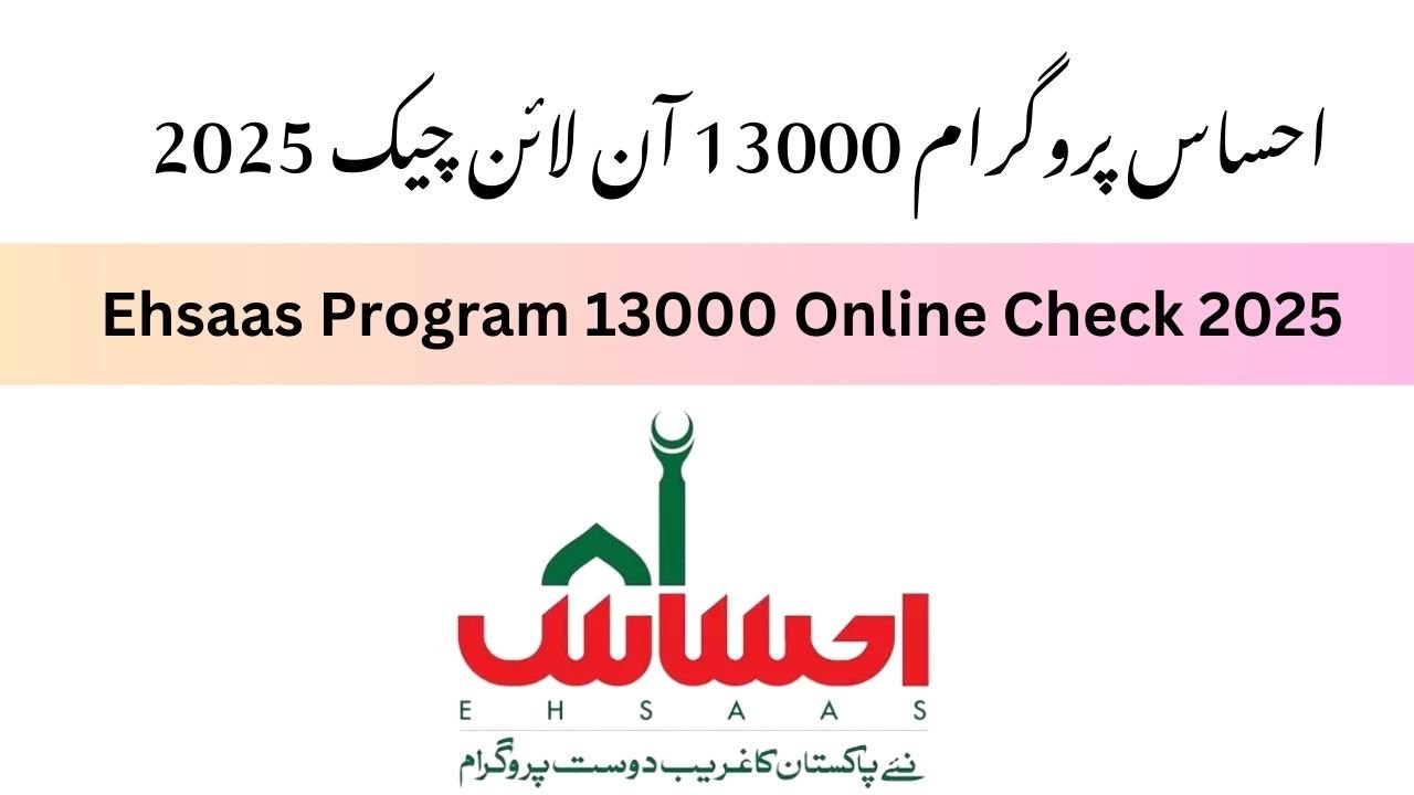 Ehsaas Program 13000 Online Check 2025